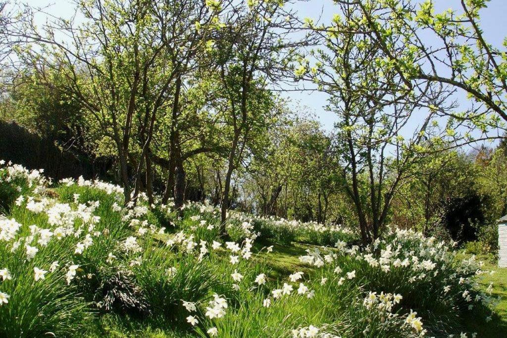 Thornwell Cottage: Charming Village Retreat With Gardens And Views