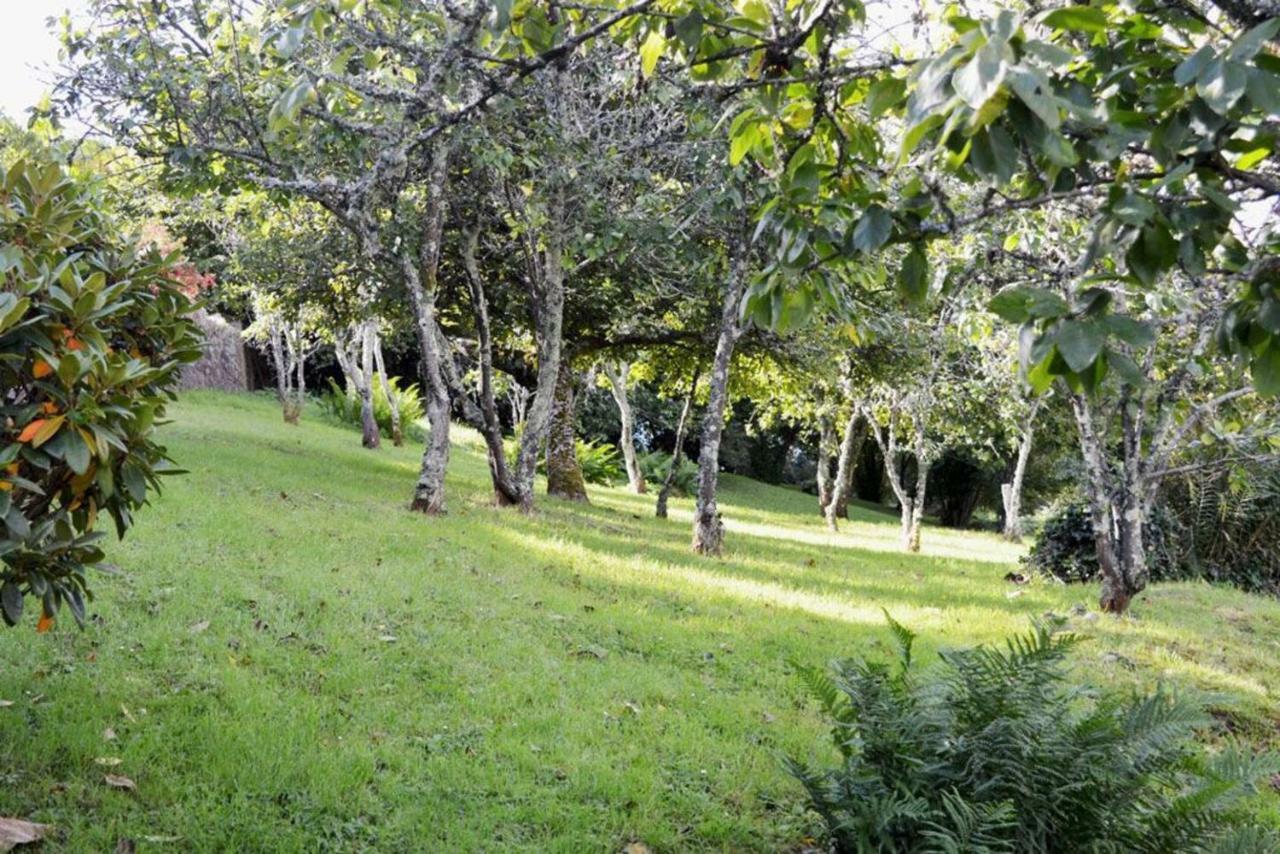Thornwell Cottage: Charming Village Retreat With Gardens And Views * Dittisham