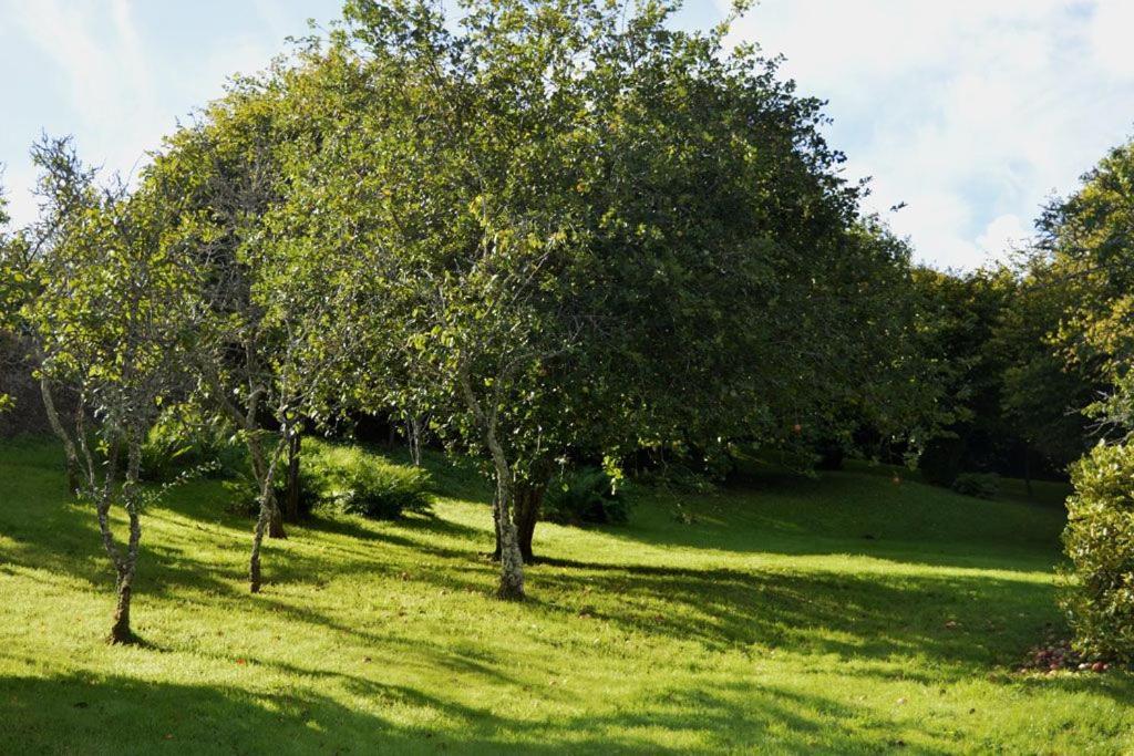 Vakantiehuis Thornwell - Heart Of The Village, Amazing Gardens, Glorious Views And Brimming With Character